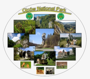 Świętokrzyski Park Narodowy, HD Png Download, Transparent PNG