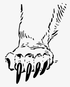 Bear Paw Outline - Paw Clipart Black And White, HD Png Download, Transparent PNG