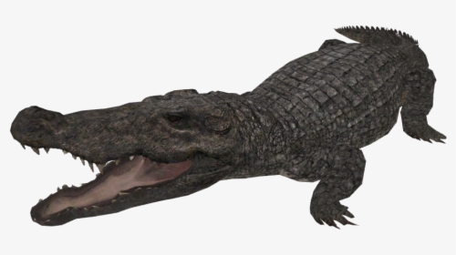 Snap Mugger Crocodile Creatures Of The World Wikia - Zt2 Mugger Crocodile, HD Png Download, Transparent PNG