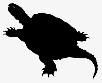 Common Snapping Turtle, HD Png Download, Transparent PNG