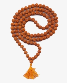 Lotus - Rudraksha, HD Png Download, Transparent PNG