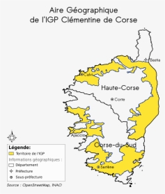 Igp Clementine Corse - Clémentinier Corse, HD Png Download, Transparent PNG