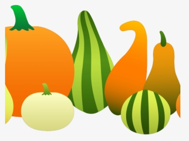 Transparent Butternut Squash Clipart - Pumpkins And Gourds Clip Art, HD Png Download, Transparent PNG