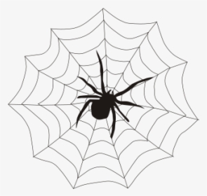 Spider & Web Svg Clip Arts - Spider Web, HD Png Download, Transparent PNG