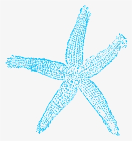 Starfish Label Svg Clip Arts - Blue Clip Art Starfish, HD Png Download, Transparent PNG