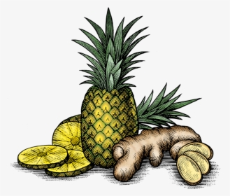 Fv Art-02 - Pineapple And Ginger Png, Transparent Png, Transparent PNG
