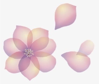 Flowers Petals Transparent Floating Aesthetic - Flower, HD Png Download, Transparent PNG