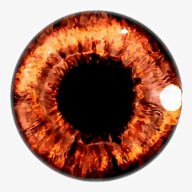 #eyes #olhos #castanho #people #freetoedit - Picsart Editing Light Background, HD Png Download, Transparent PNG