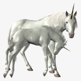 Unicorn Png Image - Deviantart Unicorn Png, Transparent Png, Transparent PNG