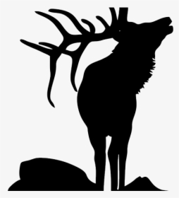 Deer And Tree Silhouette, HD Png Download, Transparent PNG