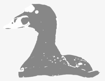 Common-scoter - Silhouette, HD Png Download, Transparent PNG
