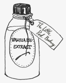 Vanillapodbottle - Line Art, HD Png Download, Transparent PNG