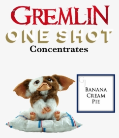 Banana Cream Pie - Companion Dog, HD Png Download, Transparent PNG