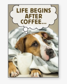 Coffee   Class - Divertenti Buongiorno, HD Png Download, Transparent PNG