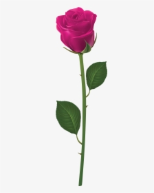 Pink Flower With Stem Clipart Clip Art Library Library - Long Stem Pink Rose Transparent, HD Png Download, Transparent PNG
