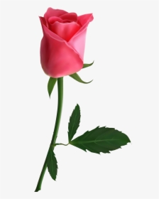 Pink Beautiful Flowers Roses, HD Png Download, Transparent PNG