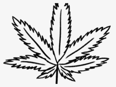 Weed Clipart Frame - Weed Drawing Png, Transparent Png, Transparent PNG