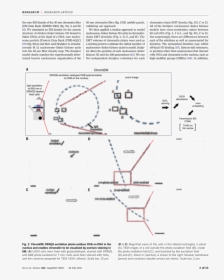 Diagram, HD Png Download, Transparent PNG