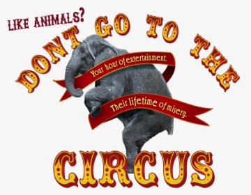 No To Circus - Circus, HD Png Download, Transparent PNG