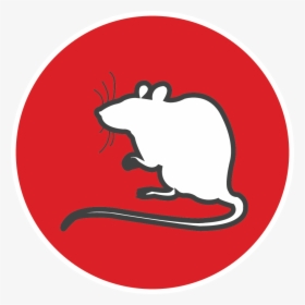 Adopt An Ex-lab Animal - Rat, HD Png Download, Transparent PNG