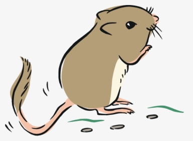 Transparent Rat Clip Art - Cartoon, HD Png Download, Transparent PNG