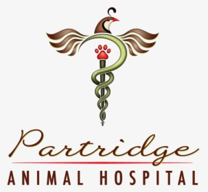 Partridge Animal Hospital - Illustration, HD Png Download, Transparent PNG