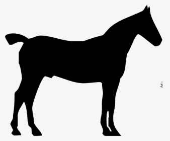 Arabian Horse Head Silhouette, HD Png Download, Transparent PNG