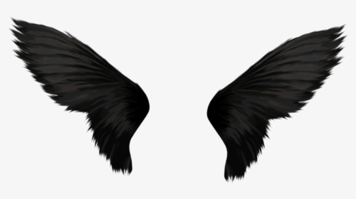 Black Angel Wings Transparent, HD Png Download, Transparent PNG