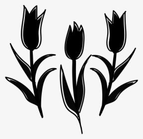 Plant Yellow Stem Tulip Tsubomi White Clipart - Sprenger's Tulip, HD Png Download, Transparent PNG