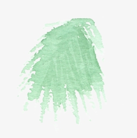 Hand Painted Simple Coniferous Leaves Watercolor Transparent - Darkness, HD Png Download, Transparent PNG