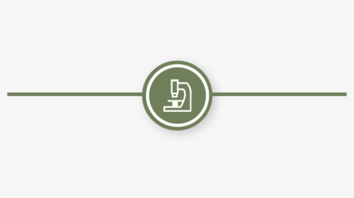 Circle, HD Png Download, Transparent PNG