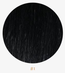 Circle, HD Png Download, Transparent PNG