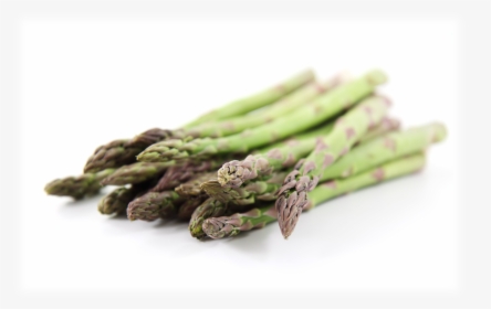 8 Absolutely Interesting Facts For Asparagus Lovers - Verdura En Forma De Palo, HD Png Download, Transparent PNG