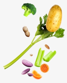 Broccoli, HD Png Download, Transparent PNG