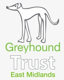 The Greyhound Trust East Midlands - Retired Greyhound Trust, HD Png Download, Transparent PNG