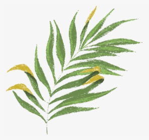 Illustration, HD Png Download, Transparent PNG