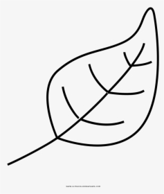 Leaf Coloring Page, HD Png Download, Transparent PNG