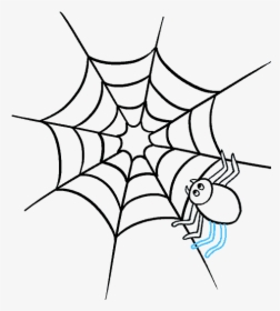 How To Draw Spider Web With Spider - Spiders Drawing, HD Png Download, Transparent PNG