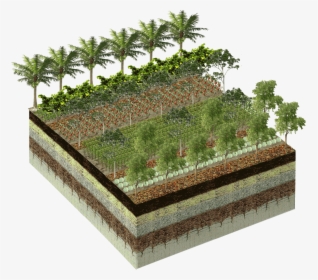 Pixlr-farm2 - Botanical Garden, HD Png Download, Transparent PNG