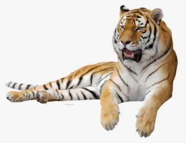 Tiger Transparent Background Png, Png Download, Transparent PNG