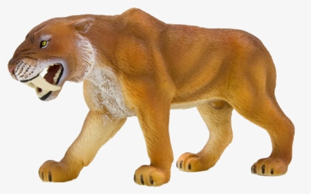 Saber Tooth Tiger Animal Ice Age, HD Png Download, Transparent PNG