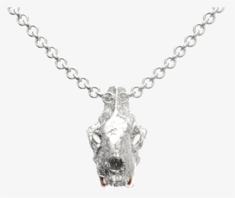 Platinum Chain With Diamond Pendant, HD Png Download, Transparent PNG