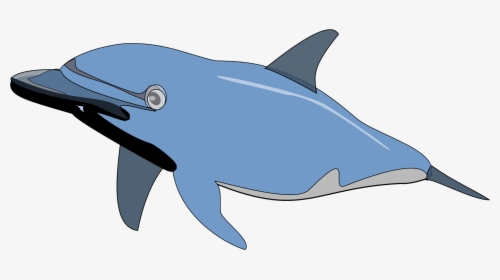 Dolphin Fish Cartoon Png Clipart , Png Download - Dolphin Clip Art, Transparent Png, Transparent PNG
