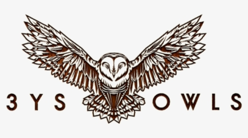 3ys Owls Brandmark Identity Web App Owl Design Website - Owl, HD Png Download, Transparent PNG