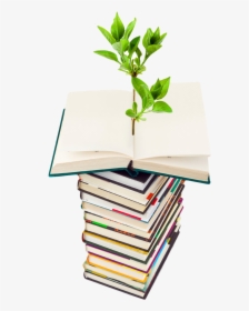 Photo Of Plant Growing From A Stack Of Books - Go Green Light Bulb, HD Png Download, Transparent PNG