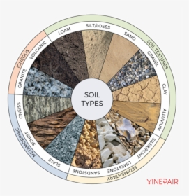 14 Wine Soil Types To Know, HD Png Download, Transparent PNG