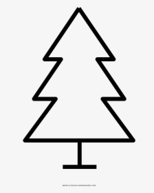 Christmas Tree Coloring Page - Printable Evergreen Tree Template, HD Png Download, Transparent PNG