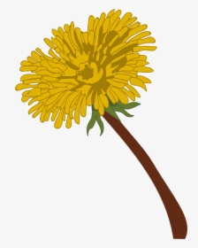 Large Flower - Dandelion, HD Png Download, Transparent PNG
