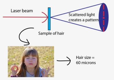 Supporting Image - Measure The Width Of A Hair, HD Png Download, Transparent PNG