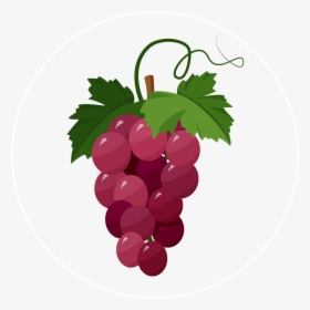 Grapes-icon - Grapes Illustration, HD Png Download, Transparent PNG